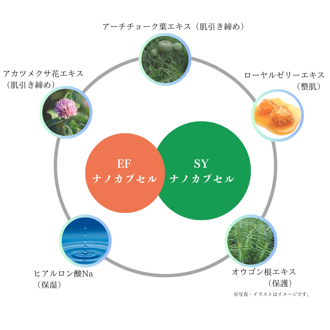 EFナノカプセル×SYナノカプセル