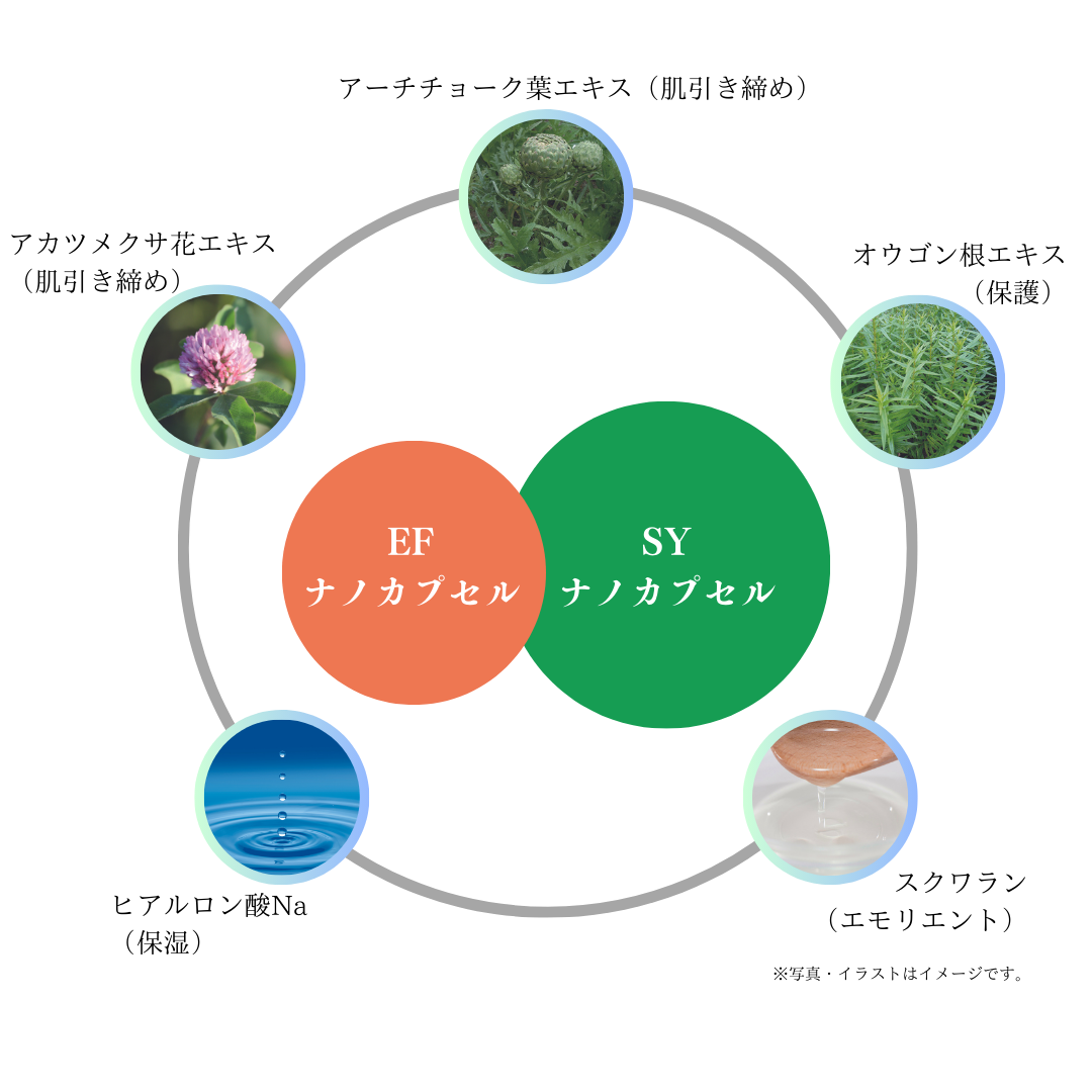 EFナノカプセル×SYナノカプセル