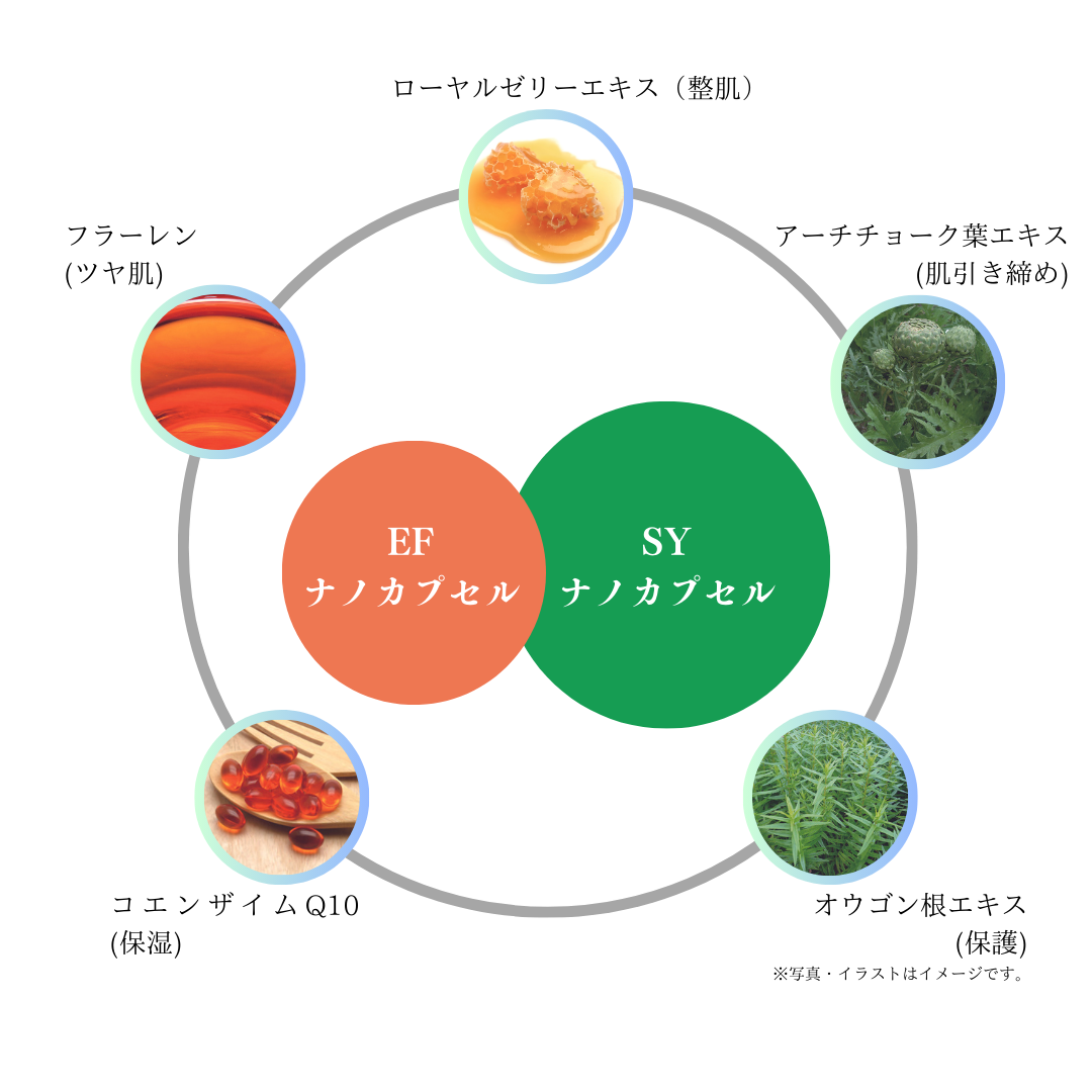 EFナノカプセル×SYナノカプセル