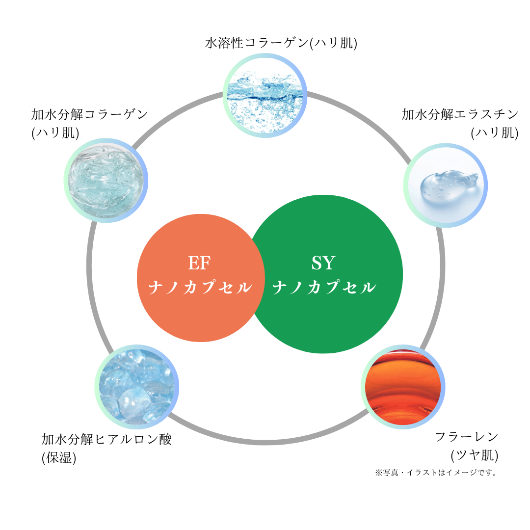 EFナノカプセル×SYナノカプセル