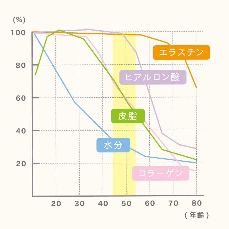 年齢別の肌状態 図解no4