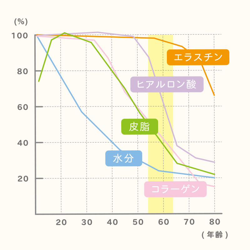 年齢別の肌状態 図解no5