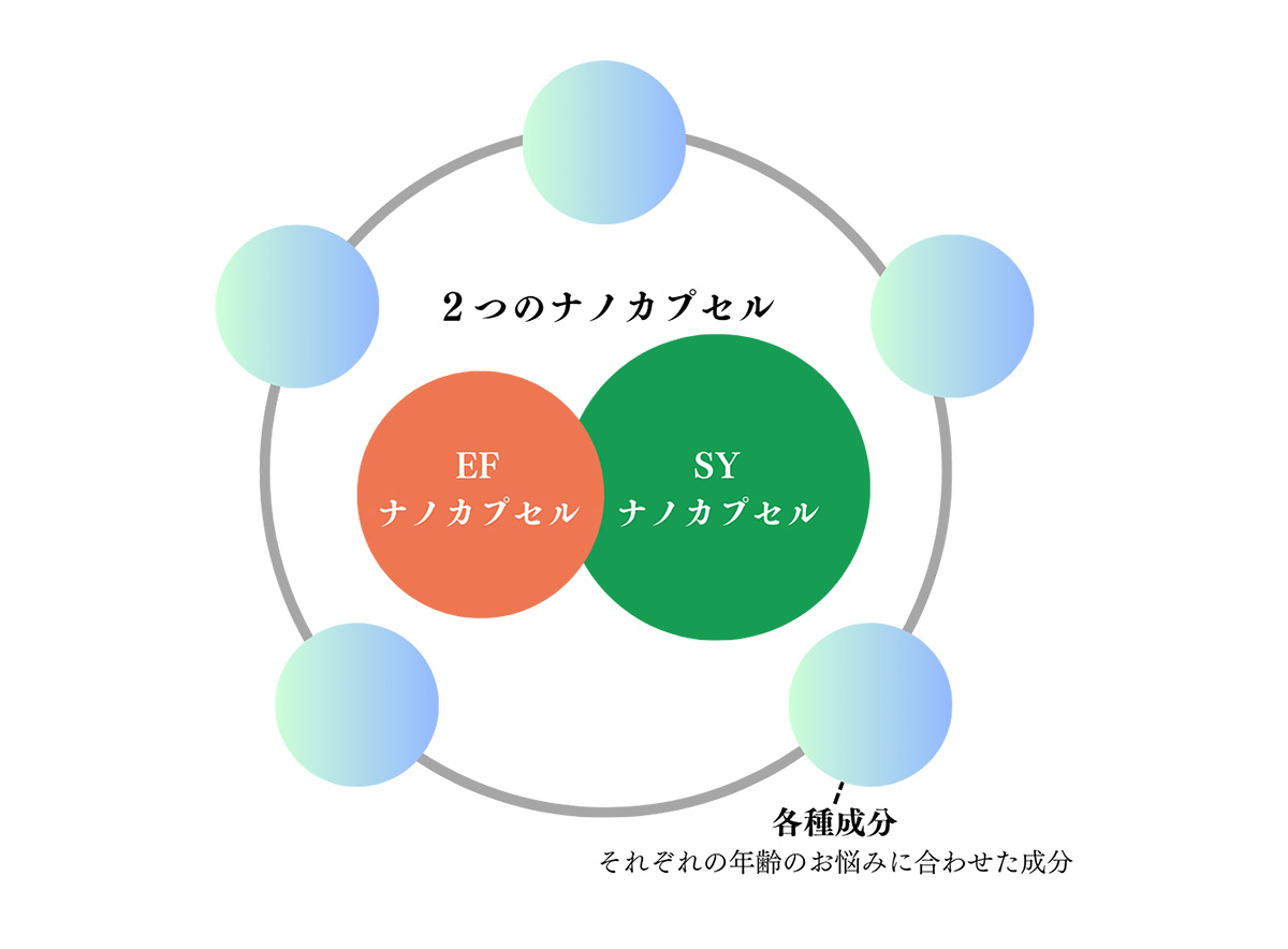 EFナノカプセルとSYナノカプセル