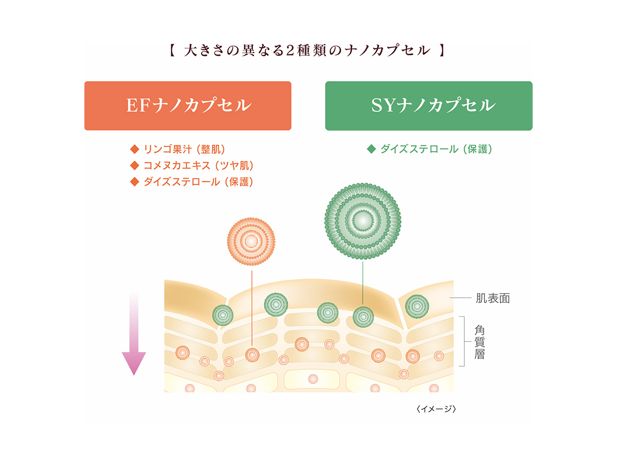 EFナノカプセルとSYナノカプセル